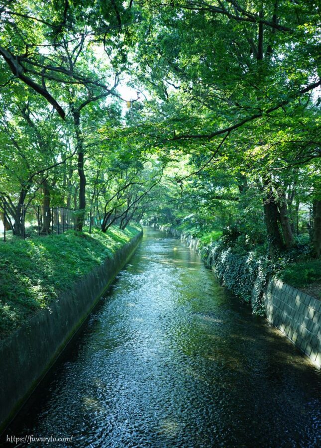玉川上水緑道のお写ん歩風景写真 [2016年11月]（東京都立川市）